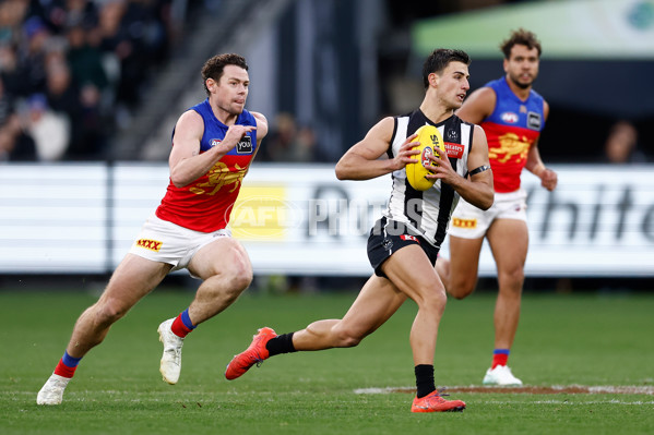 AFL 2024 Round 23 - Collingwood v Brisbane - A-53083399