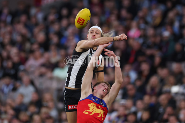 AFL 2024 Round 23 - Collingwood v Brisbane - A-53083420