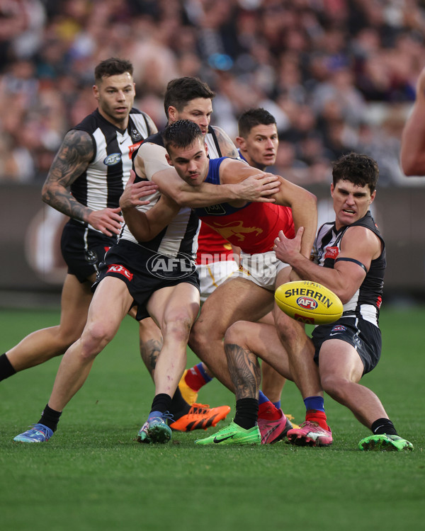 AFL 2024 Round 23 - Collingwood v Brisbane - A-53083453