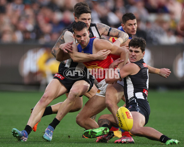 AFL 2024 Round 23 - Collingwood v Brisbane - A-53083455