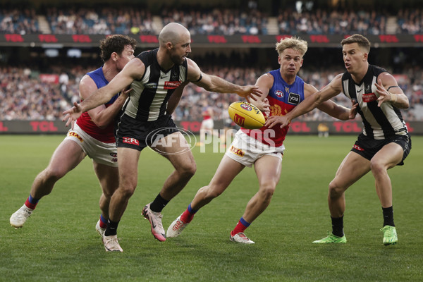 AFL 2024 Round 23 - Collingwood v Brisbane - A-53083459