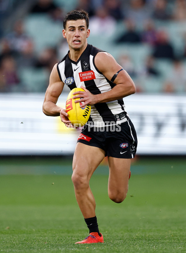 AFL 2024 Round 23 - Collingwood v Brisbane - A-53083898
