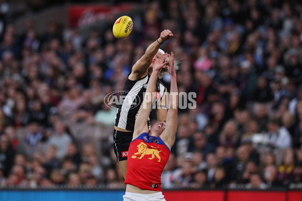 AFL 2024 Round 23 - Collingwood v Brisbane - A-53083928