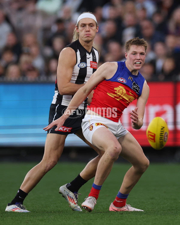 AFL 2024 Round 23 - Collingwood v Brisbane - A-53083969