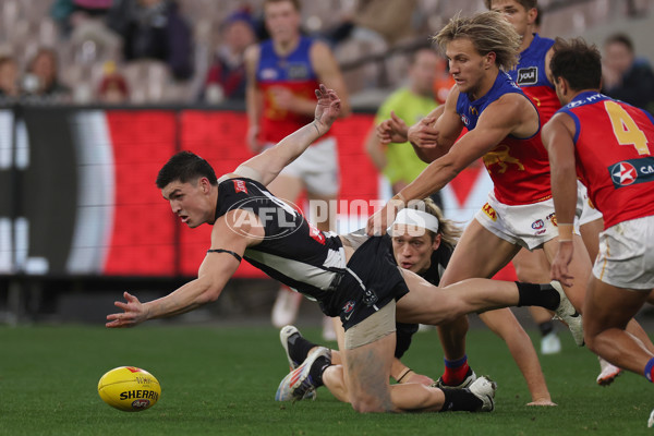 AFL 2024 Round 23 - Collingwood v Brisbane - A-53083974