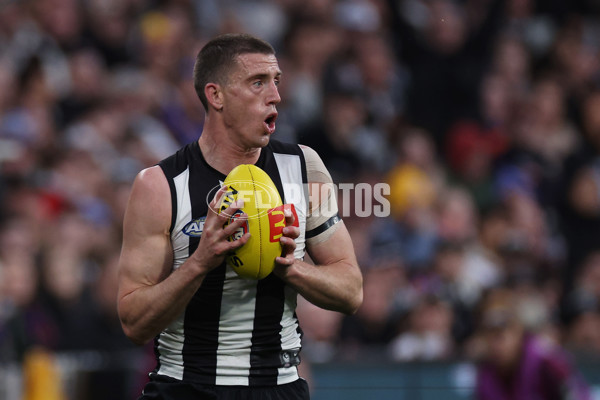 AFL 2024 Round 23 - Collingwood v Brisbane - A-53085906