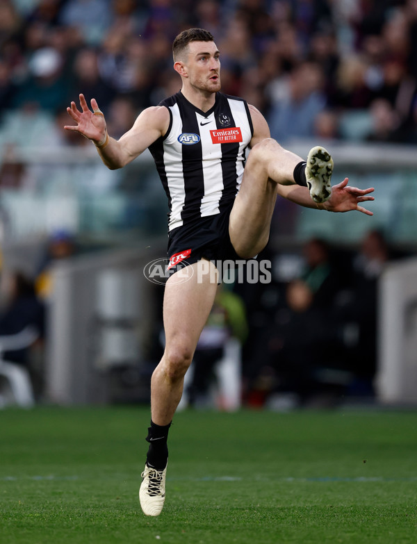 AFL 2024 Round 23 - Collingwood v Brisbane - A-53085925