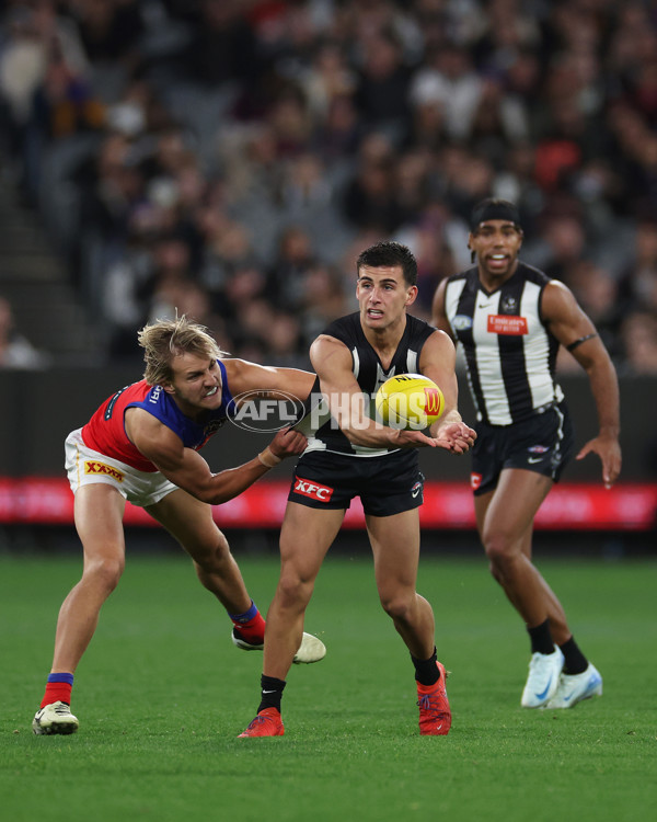AFL 2024 Round 23 - Collingwood v Brisbane - A-53085992