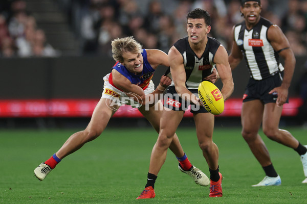 AFL 2024 Round 23 - Collingwood v Brisbane - A-53085993