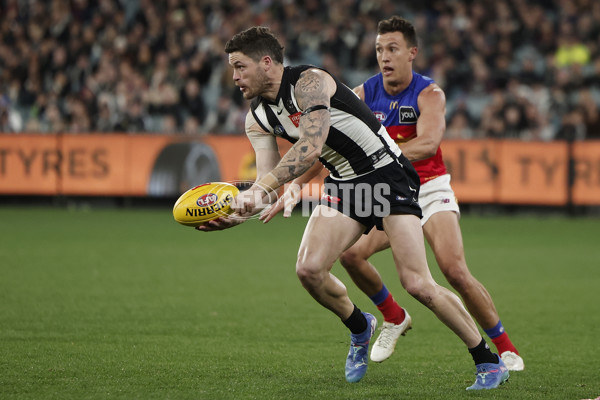 AFL 2024 Round 23 - Collingwood v Brisbane - A-53085999