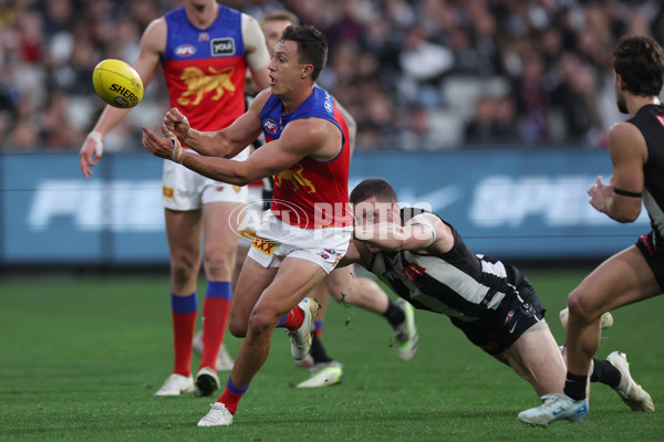 AFL 2024 Round 23 - Collingwood v Brisbane - A-53086107