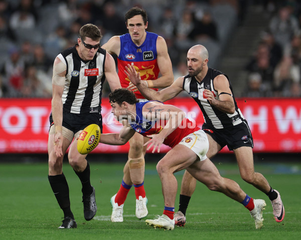 AFL 2024 Round 23 - Collingwood v Brisbane - A-53086143