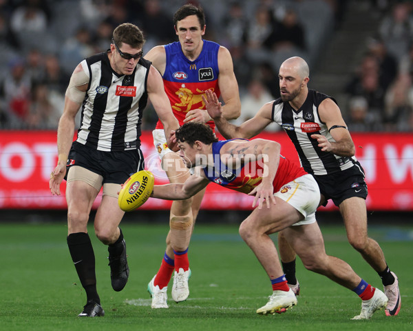 AFL 2024 Round 23 - Collingwood v Brisbane - A-53086144