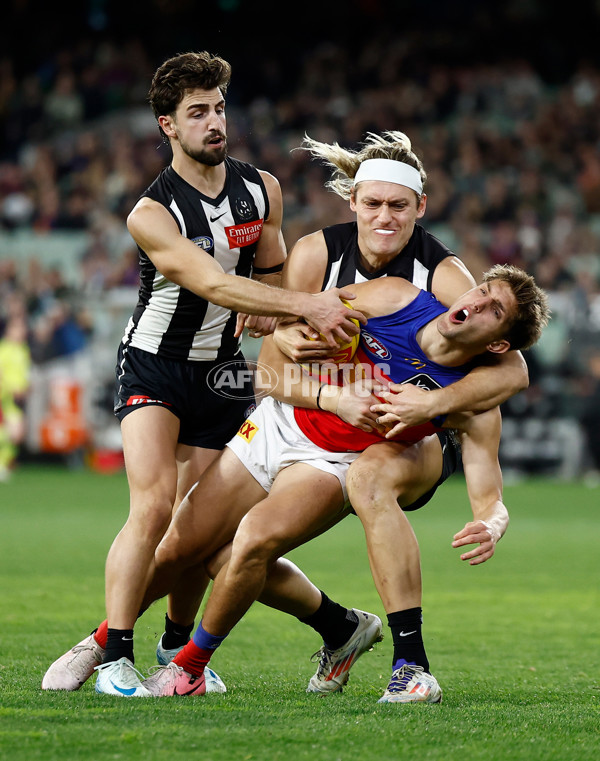 AFL 2024 Round 23 - Collingwood v Brisbane - A-53086165