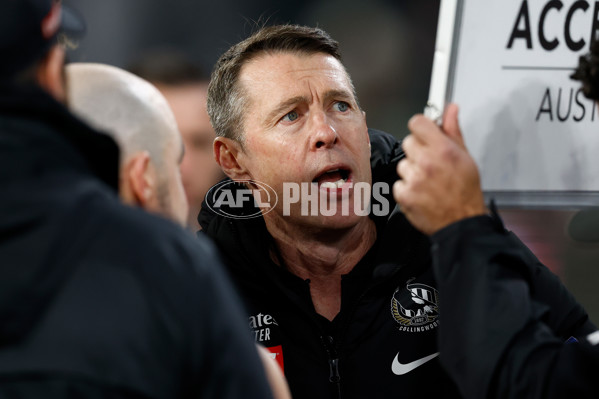 AFL 2024 Round 23 - Collingwood v Brisbane - A-53086197