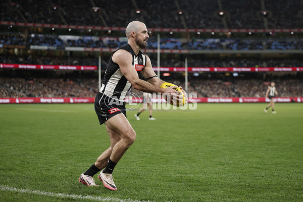 AFL 2024 Round 23 - Collingwood v Brisbane - A-53088439