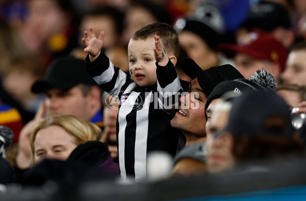 AFL 2024 Round 23 - Collingwood v Brisbane - A-53088445