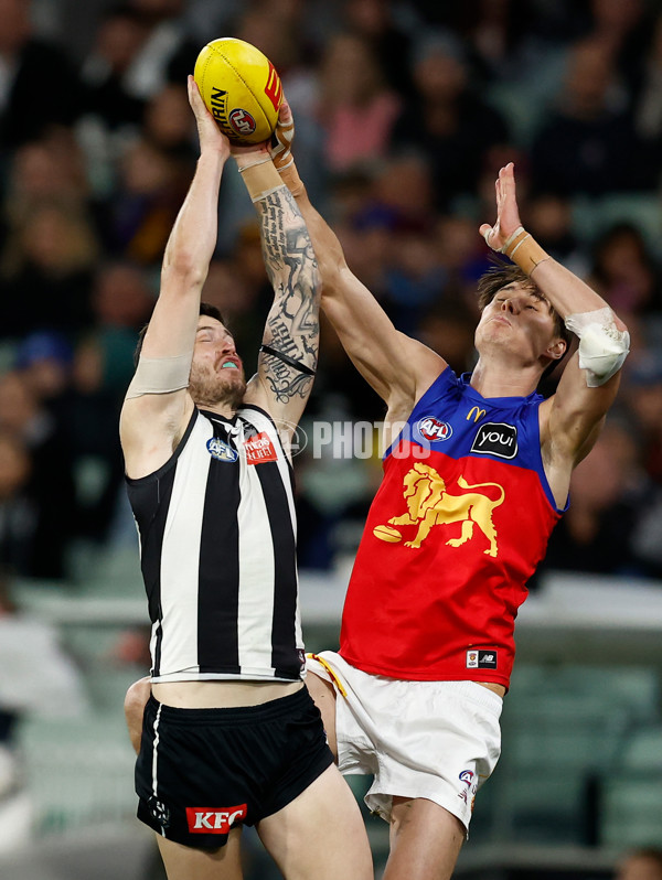 AFL 2024 Round 23 - Collingwood v Brisbane - A-53088482