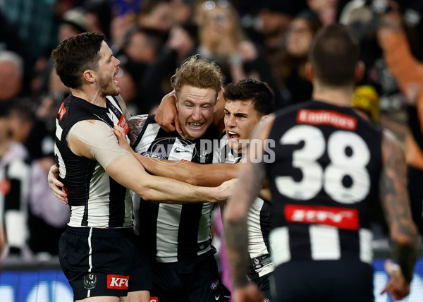 AFL 2024 Round 23 - Collingwood v Brisbane - A-53091056