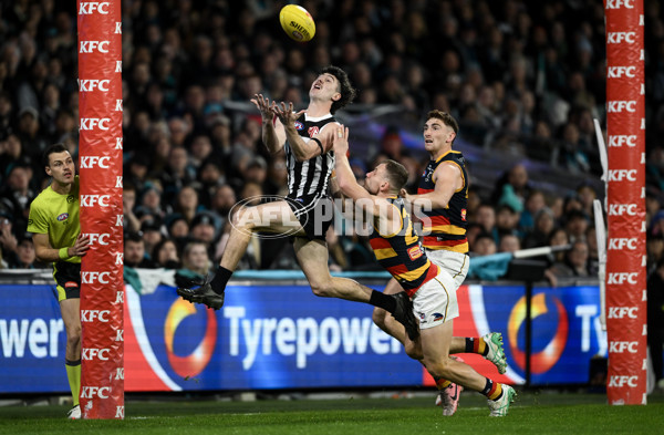 AFL 2024 Round 23 - Port Adelaide v Adelaide - A-53091124