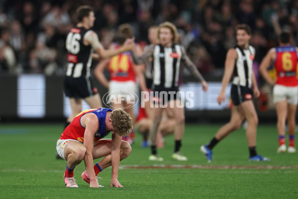 AFL 2024 Round 23 - Collingwood v Brisbane - A-53091179