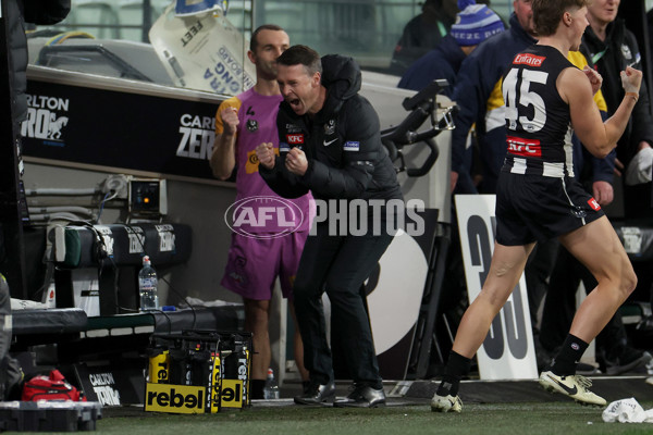 AFL 2024 Round 23 - Collingwood v Brisbane - A-53091185