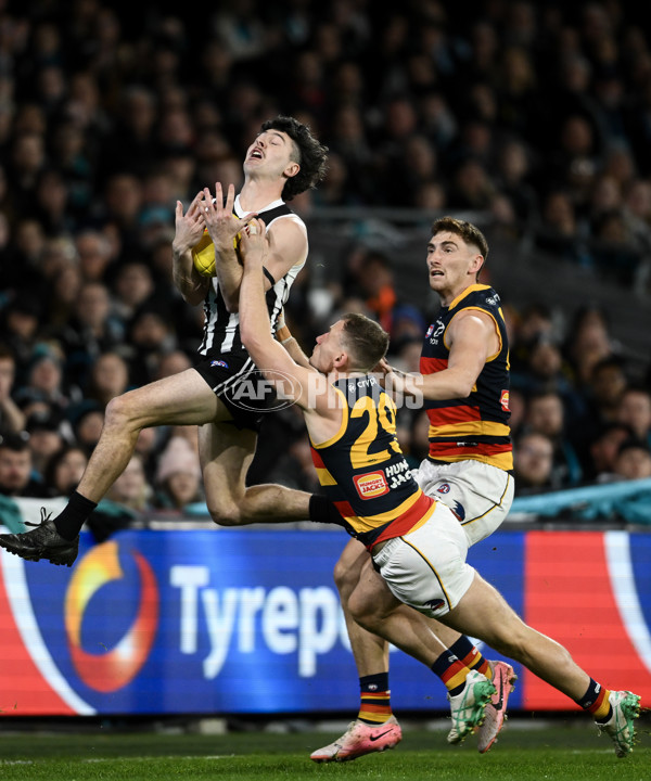 AFL 2024 Round 23 - Port Adelaide v Adelaide - A-53091225