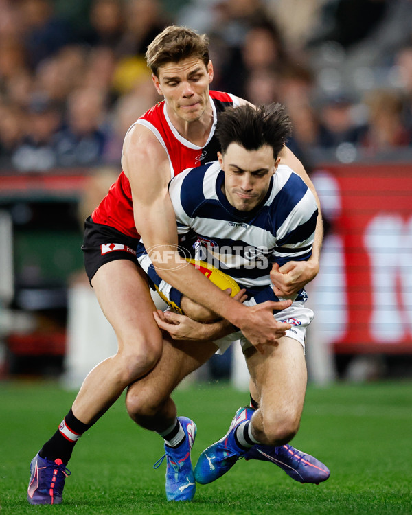 AFL 2024 Round 23 - St Kilda v Geelong - A-53091229