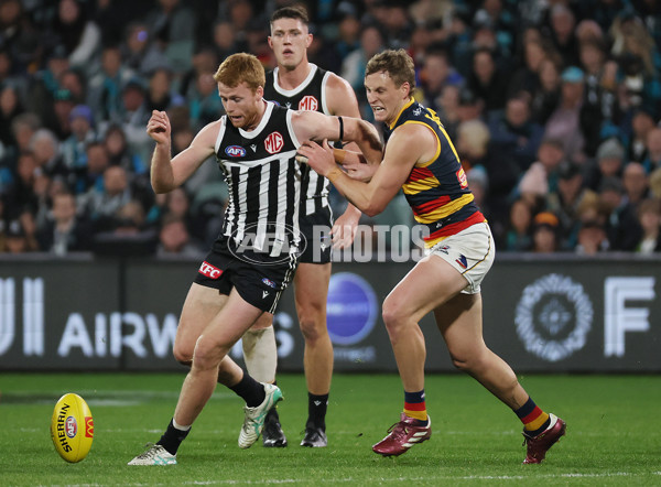 AFL 2024 Round 23 - Port Adelaide v Adelaide - A-53093498