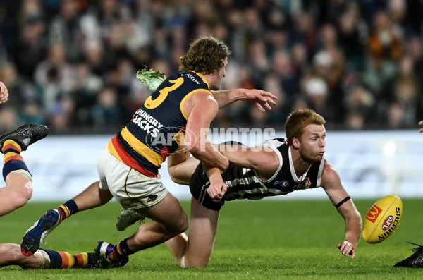 AFL 2024 Round 23 - Port Adelaide v Adelaide - A-53093521