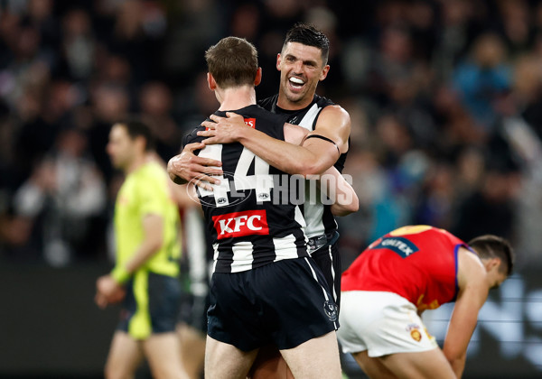 AFL 2024 Round 23 - Collingwood v Brisbane - A-53093525