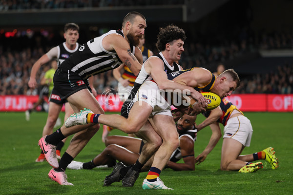 AFL 2024 Round 23 - Port Adelaide v Adelaide - A-53093568