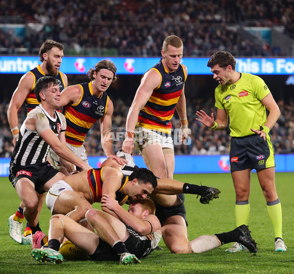 AFL 2024 Round 23 - Port Adelaide v Adelaide - A-53093578