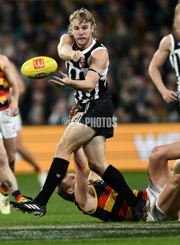 AFL 2024 Round 23 - Port Adelaide v Adelaide - A-53094012