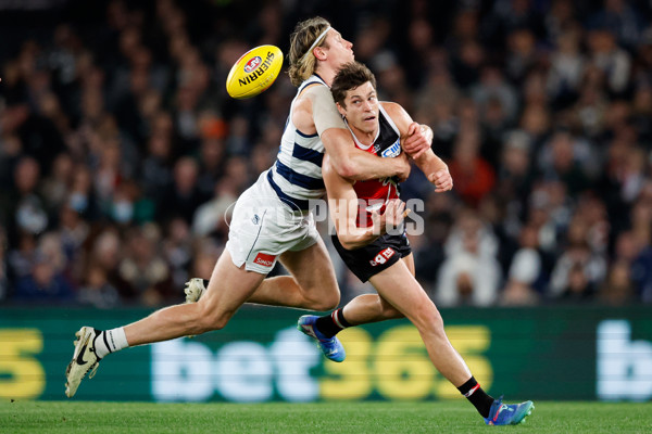 AFL 2024 Round 23 - St Kilda v Geelong - A-53094034