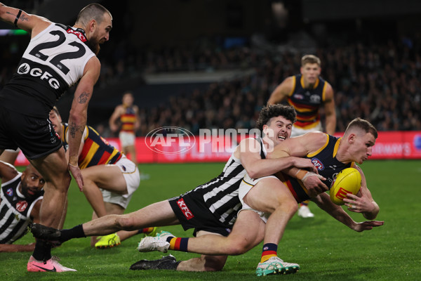 AFL 2024 Round 23 - Port Adelaide v Adelaide - A-53094057