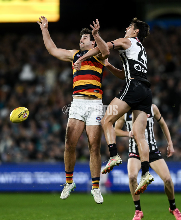 AFL 2024 Round 23 - Port Adelaide v Adelaide - A-53094067