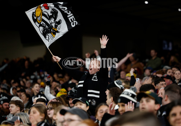 AFL 2024 Round 23 - Collingwood v Brisbane - A-53094068