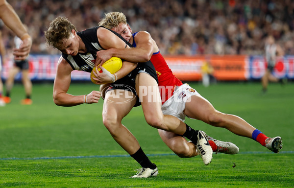 AFL 2024 Round 23 - Collingwood v Brisbane - A-53094072