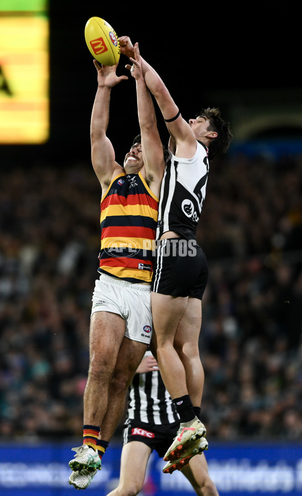 AFL 2024 Round 23 - Port Adelaide v Adelaide - A-53095804