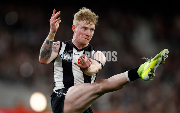 AFL 2024 Round 23 - Collingwood v Brisbane - A-53095805