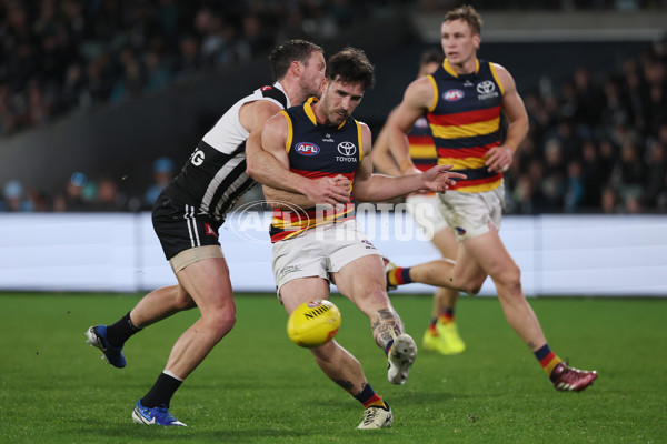 AFL 2024 Round 23 - Port Adelaide v Adelaide - A-53095875