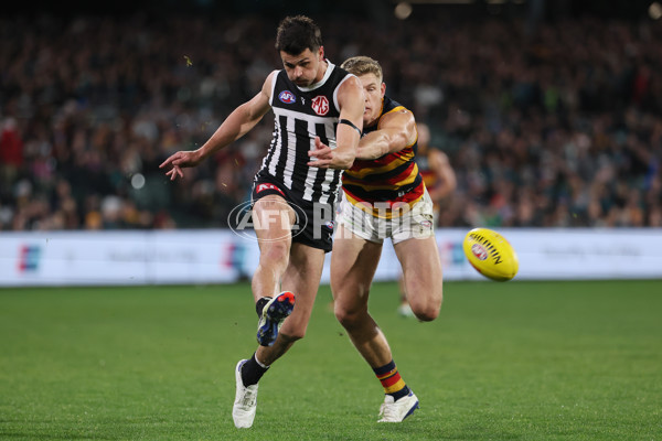 AFL 2024 Round 23 - Port Adelaide v Adelaide - A-53095896