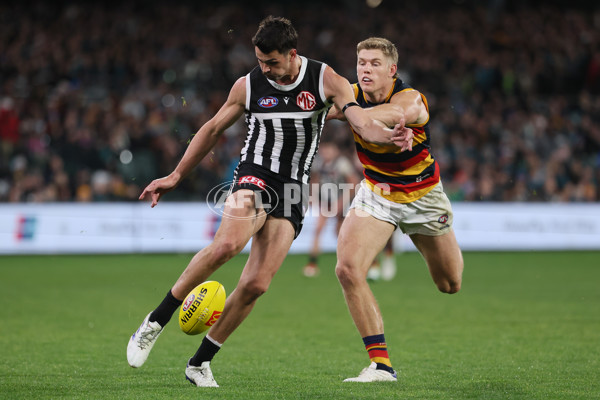 AFL 2024 Round 23 - Port Adelaide v Adelaide - A-53095898