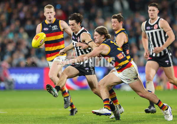 AFL 2024 Round 23 - Port Adelaide v Adelaide - A-53096451