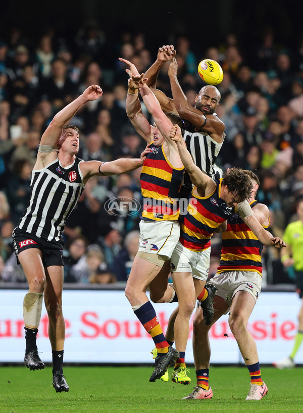 AFL 2024 Round 23 - Port Adelaide v Adelaide - A-53096467