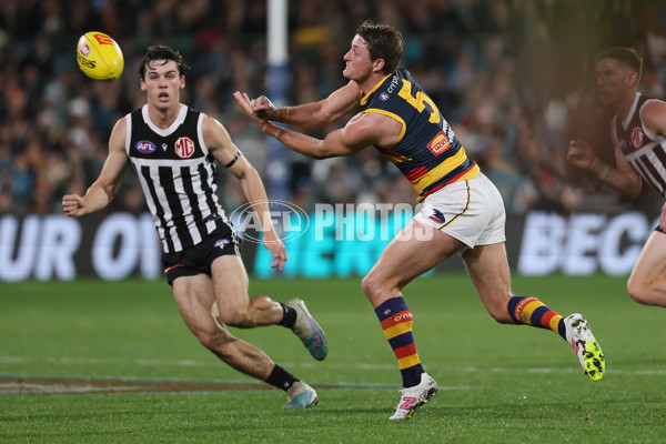 AFL 2024 Round 23 - Port Adelaide v Adelaide - A-53096486