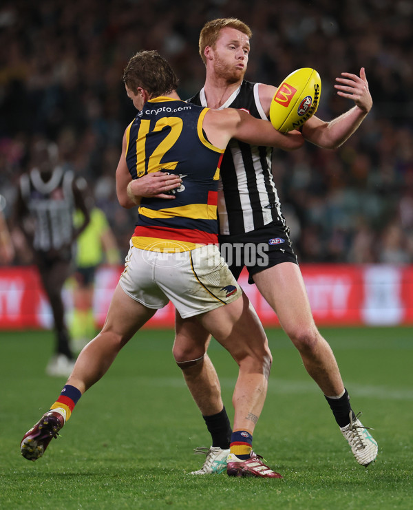 AFL 2024 Round 23 - Port Adelaide v Adelaide - A-53096487