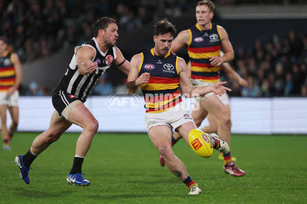 AFL 2024 Round 23 - Port Adelaide v Adelaide - A-53096488