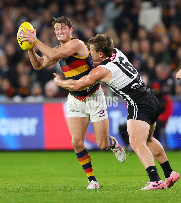 AFL 2024 Round 23 - Port Adelaide v Adelaide - A-53096504